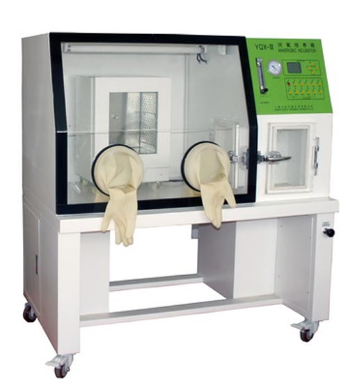 YQX-������������