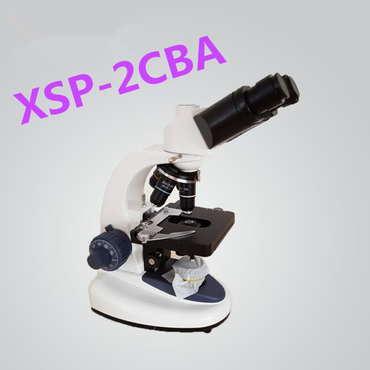 XSP-2CBAĿ1600΢