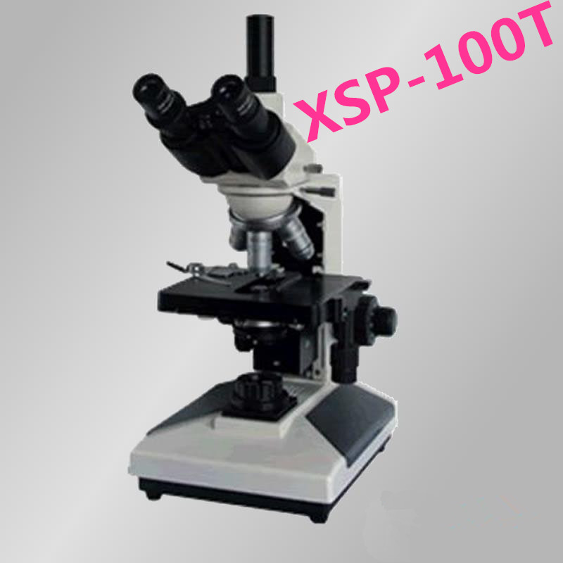 XSP-100TĿ΢