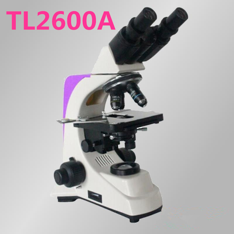 TL2600A˫Ŀ΢