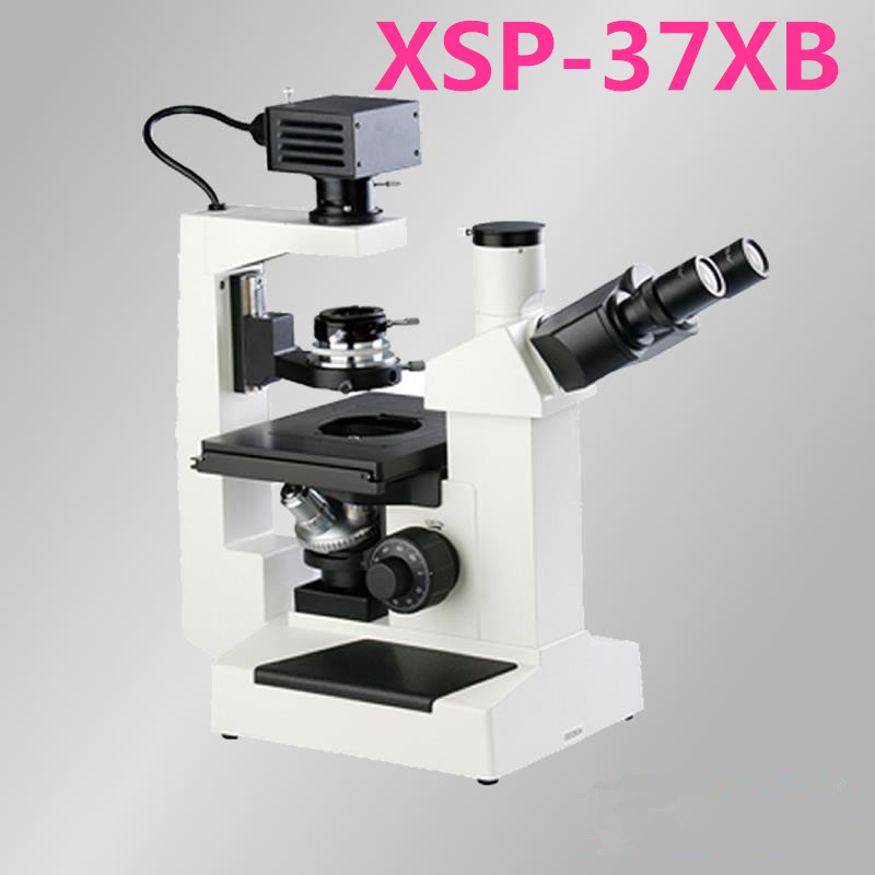 XSP-37XBĿ΢