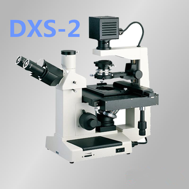 DXS-2Ŀ΢